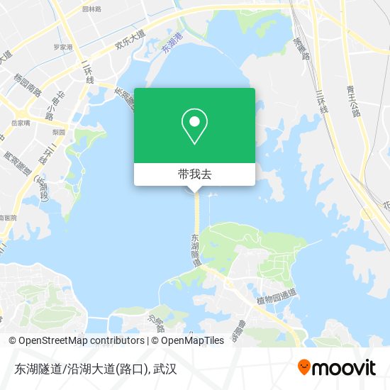 东湖隧道/沿湖大道(路口)地图