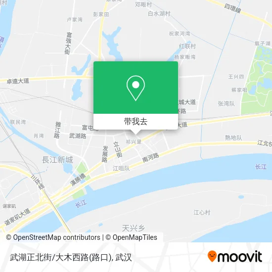 武湖正北街/大木西路(路口)地图