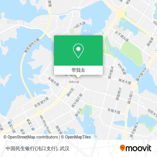 中国民生银行(沌口支行)地图