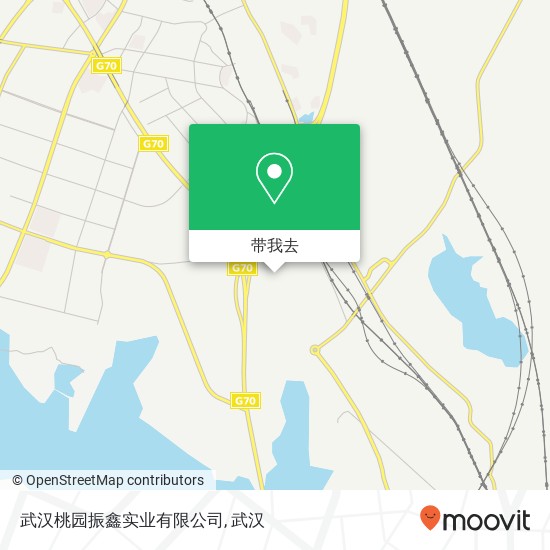 武汉桃园振鑫实业有限公司地图