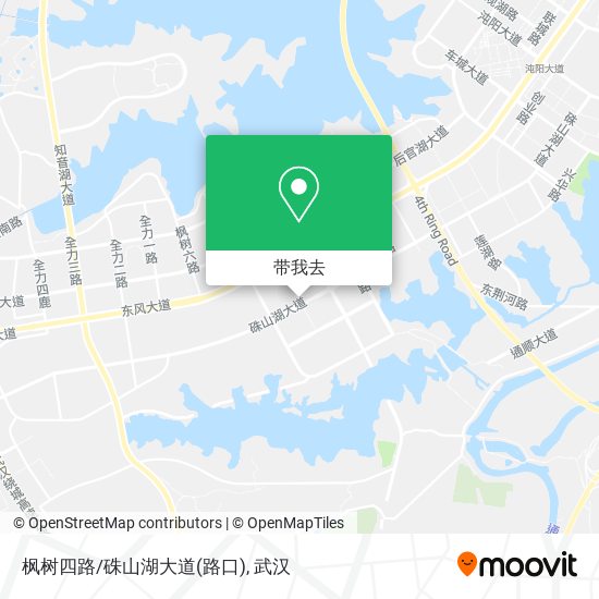 枫树四路/硃山湖大道(路口)地图