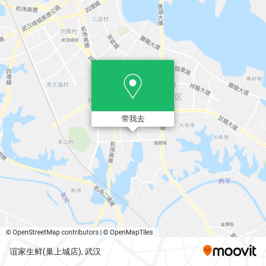 谊家生鲜(巢上城店)地图