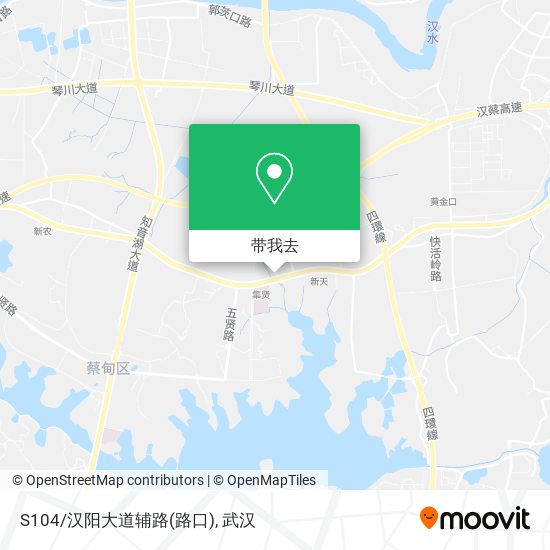 S104/汉阳大道辅路(路口)地图