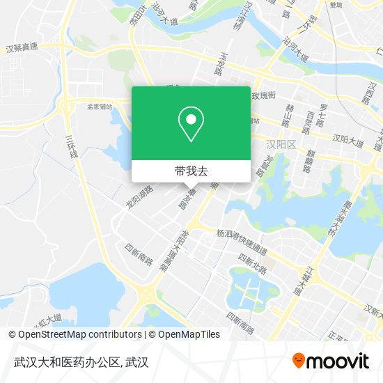 武汉大和医药办公区地图