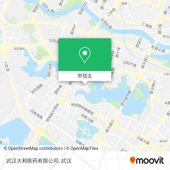 武汉大和医药有限公司地图