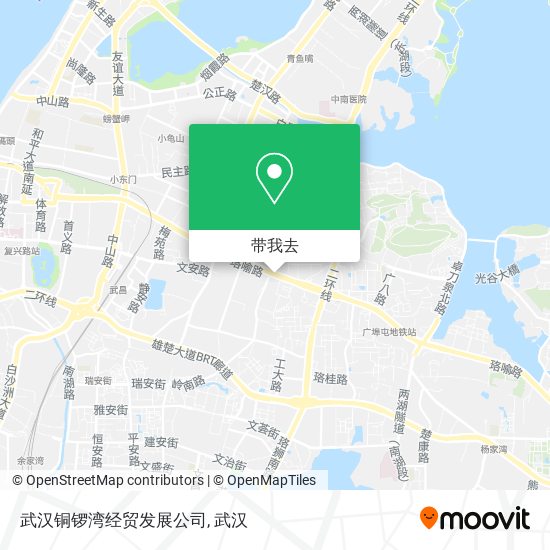 武汉铜锣湾经贸发展公司地图