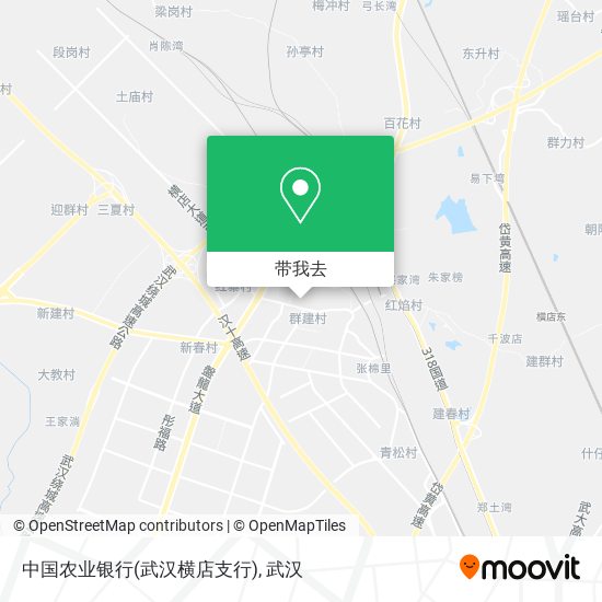 中国农业银行(武汉横店支行)地图