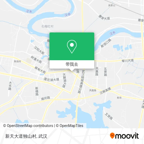 新天大道独山村地图