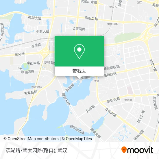 滨湖路/武大园路(路口)地图