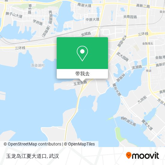 玉龙岛江夏大道口地图