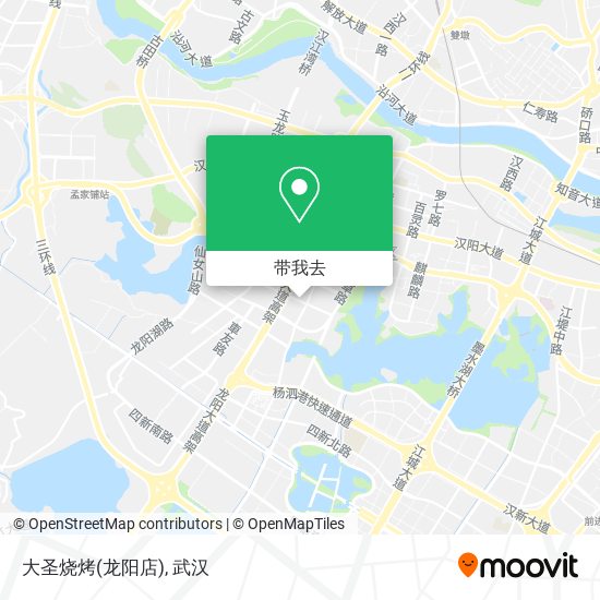 大圣烧烤(龙阳店)地图