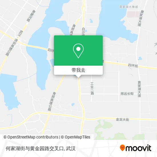 何家湖街与黄金园路交叉口地图