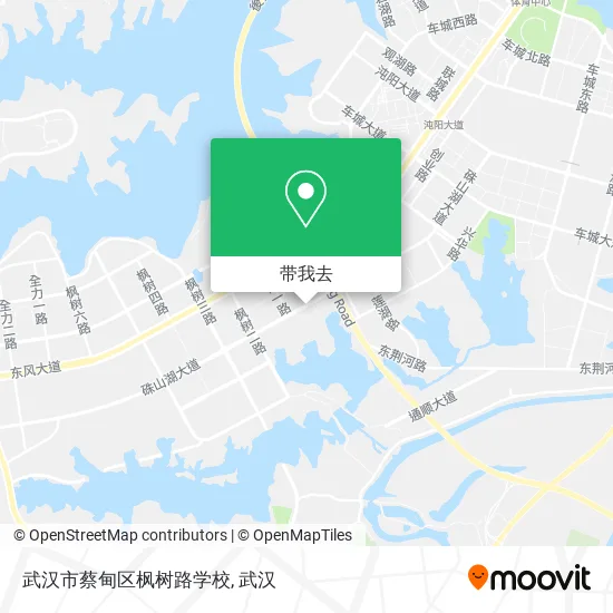 武汉市蔡甸区枫树路学校地图