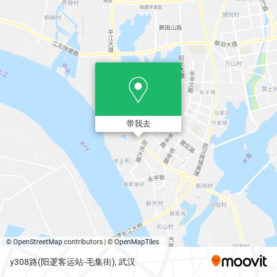 y308路(阳逻客运站-毛集街)地图