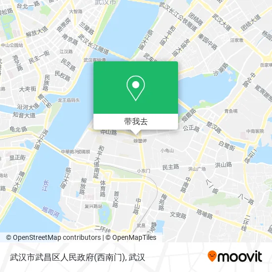 武汉市武昌区人民政府(西南门)地图