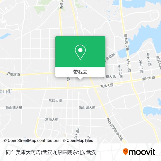 同仁美康大药房(武汉九康医院东北)地图