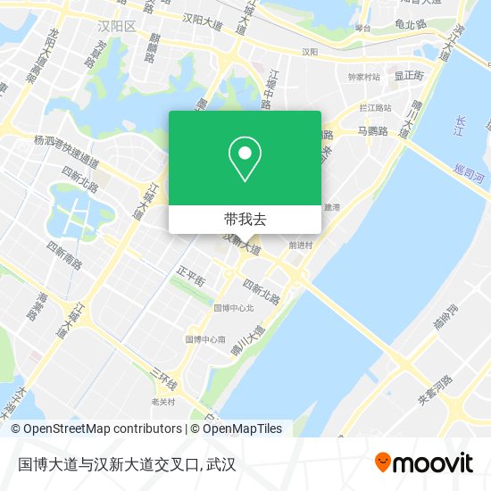 国博大道与汉新大道交叉口地图