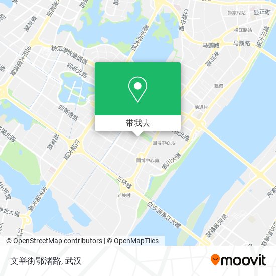 文举街鄂渚路地图