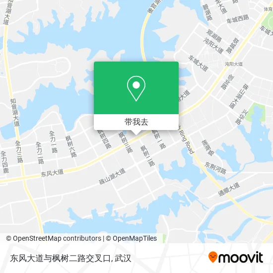东风大道与枫树二路交叉口地图