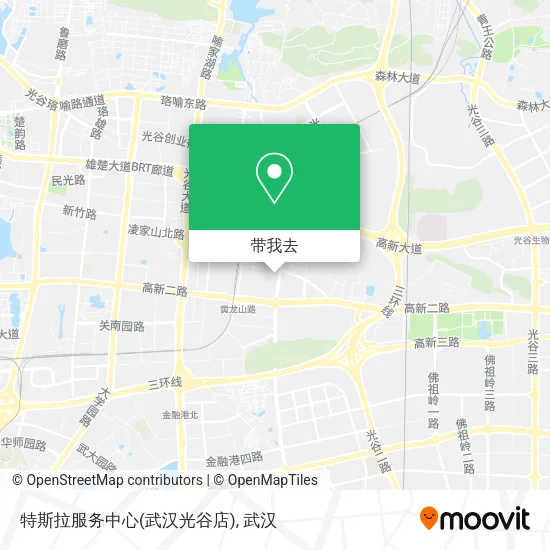 特斯拉服务中心(武汉光谷店)地图