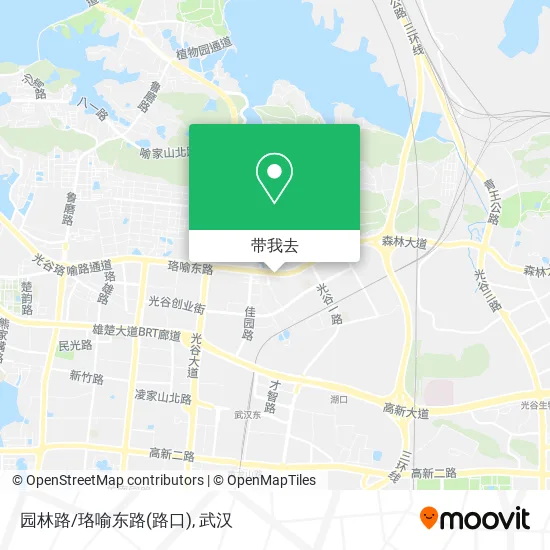 园林路/珞喻东路(路口)地图
