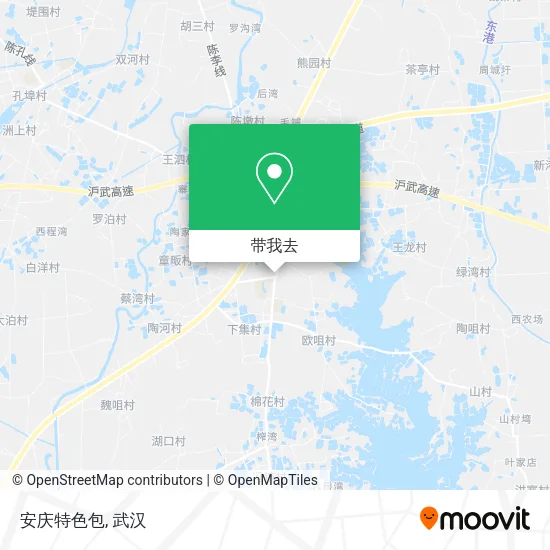 安庆特色包地图