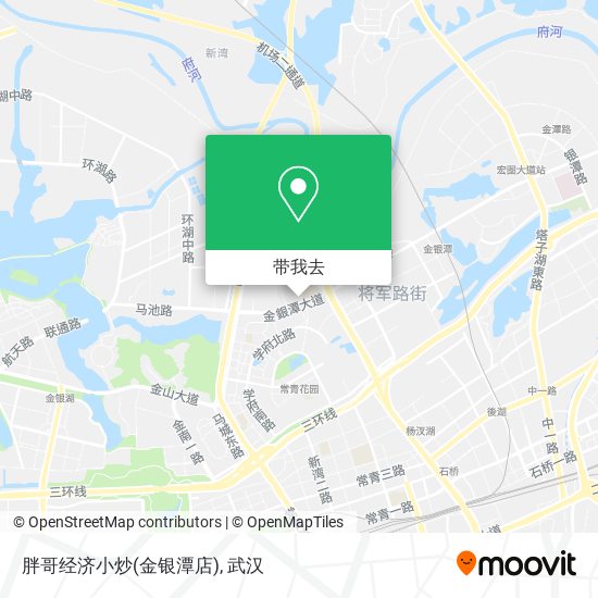 胖哥经济小炒(金银潭店)地图