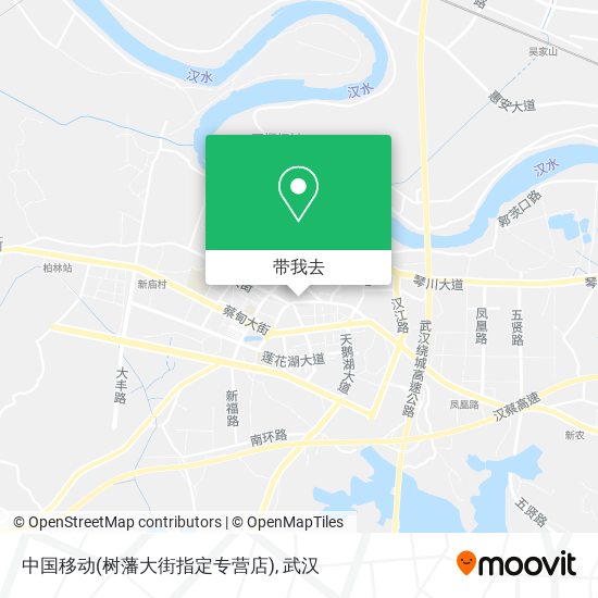 中国移动(树藩大街指定专营店)地图