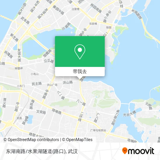 东湖南路/水果湖隧道(路口)地图