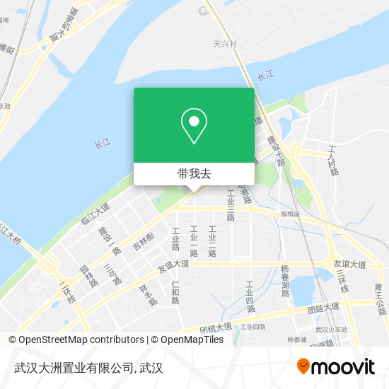 武汉大洲置业有限公司地图