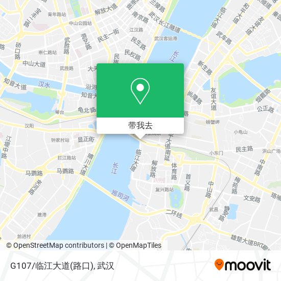 G107/临江大道(路口)地图