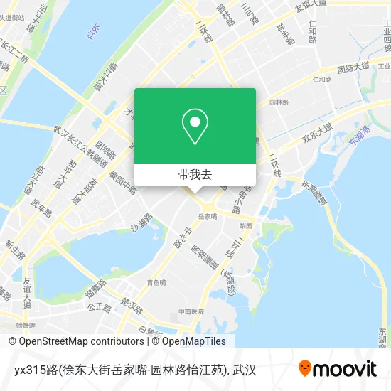yx315路(徐东大街岳家嘴-园林路怡江苑)地图