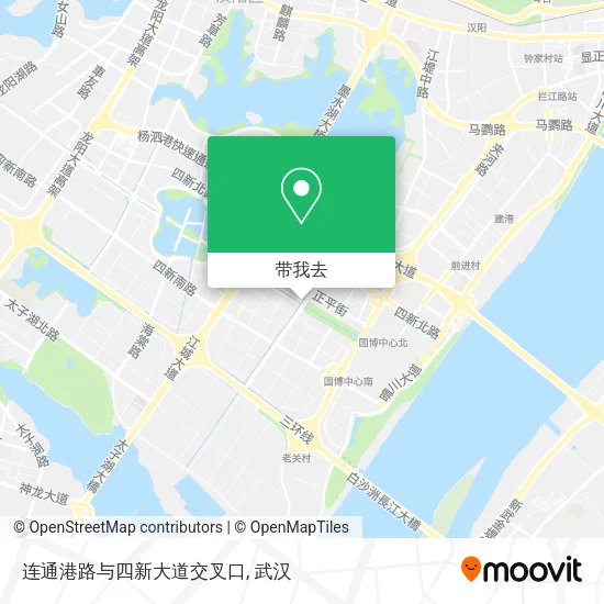 连通港路与四新大道交叉口地图