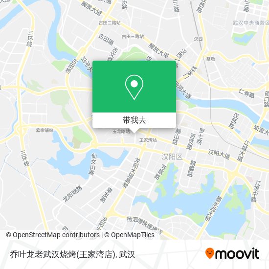 乔叶龙老武汉烧烤(王家湾店)地图
