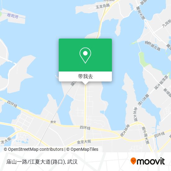 庙山一路/江夏大道(路口)地图