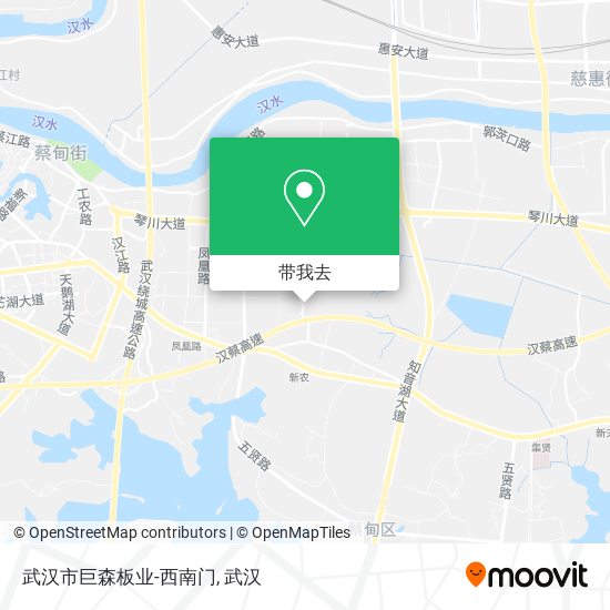 武汉市巨森板业-西南门地图