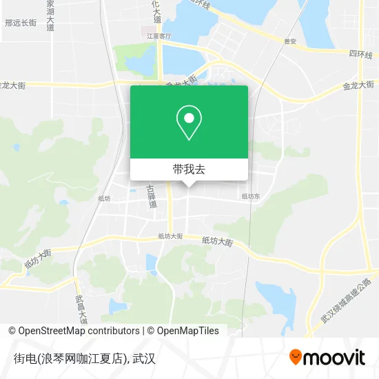 街电(浪琴网咖江夏店)地图