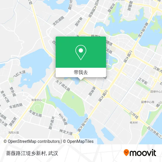 蔷薇路江堤乡新村地图