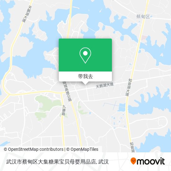武汉市蔡甸区大集糖果宝贝母婴用品店地图