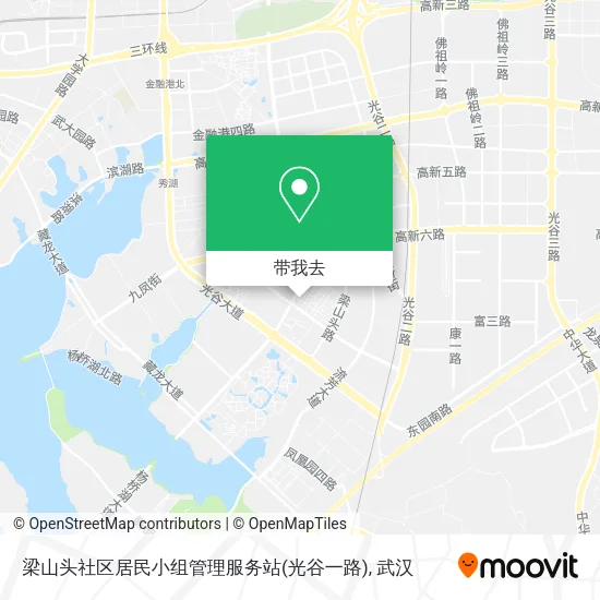 梁山头社区居民小组管理服务站(光谷一路)地图