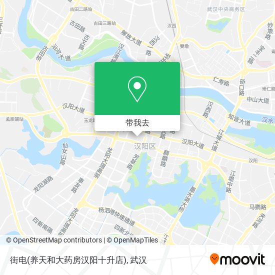 街电(养天和大药房汉阳十升店)地图