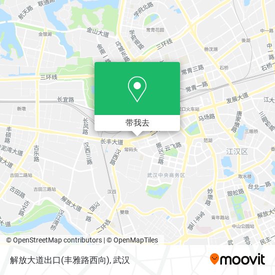 解放大道出口(丰雅路西向)地图