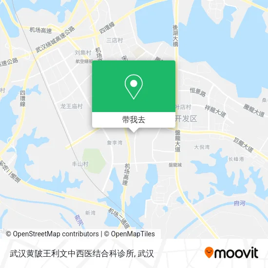 武汉黄陂王利文中西医结合科诊所地图