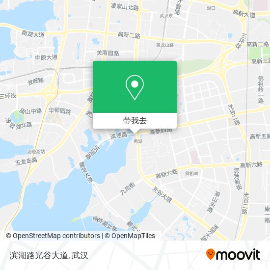 滨湖路光谷大道地图