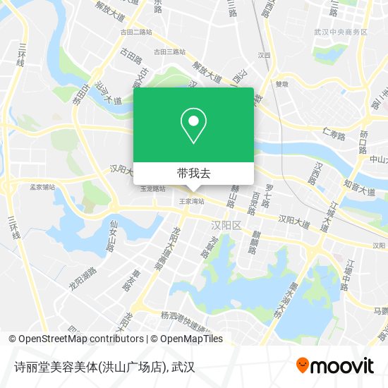 诗丽堂美容美体(洪山广场店)地图