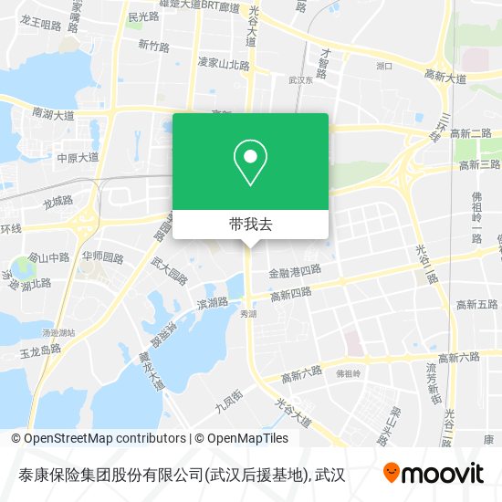 泰康保险集团股份有限公司(武汉后援基地)地图