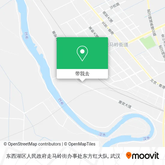 东西湖区人民政府走马岭街办事处东方红大队地图