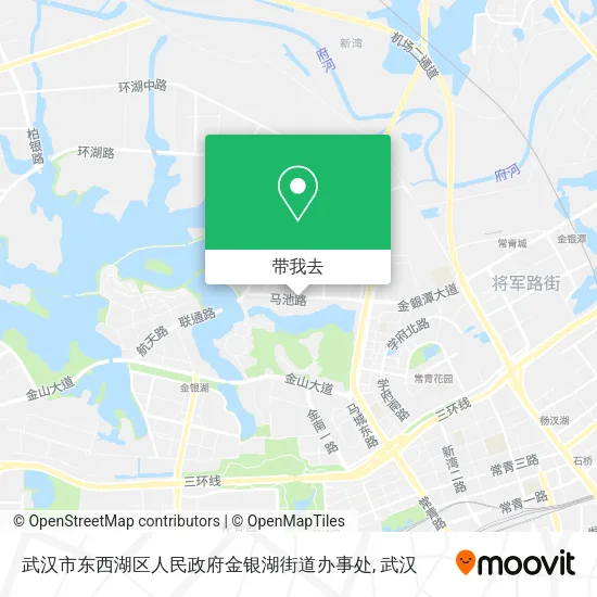 武汉市东西湖区人民政府金银湖街道办事处地图