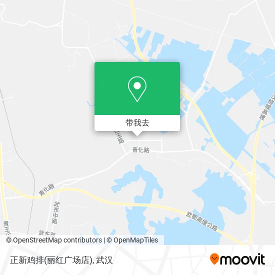 正新鸡排(丽红广场店)地图