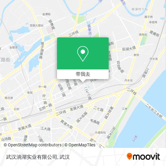武汉淌湖实业有限公司地图